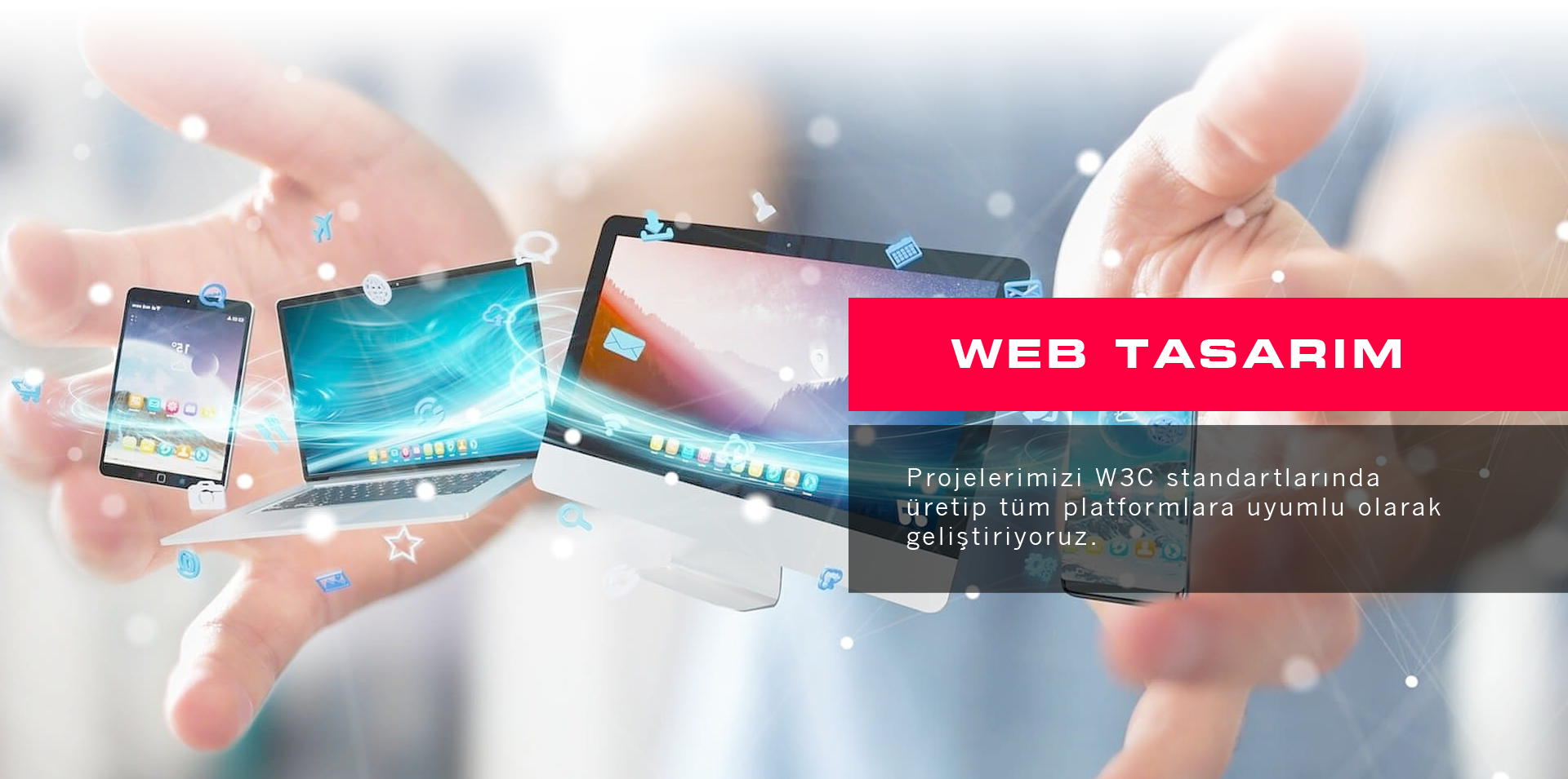 WEB TASARIM
